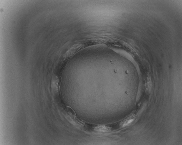 X0000066940231200603311425