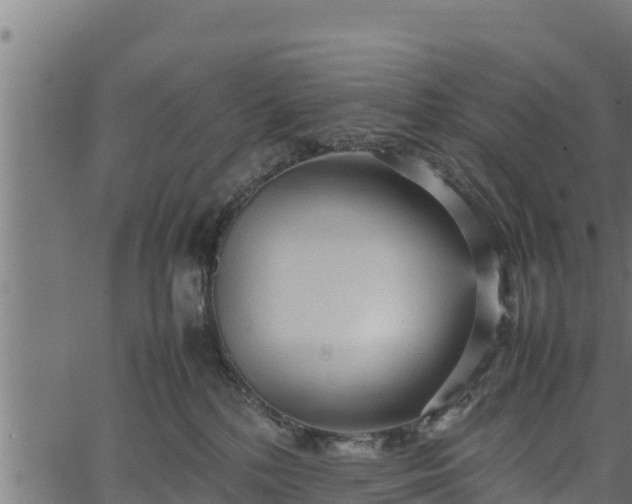 X0000066940232200603311425