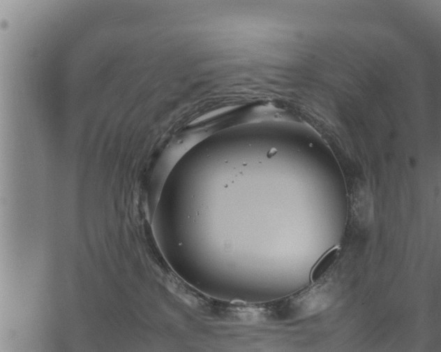 X0000066940233200603311425