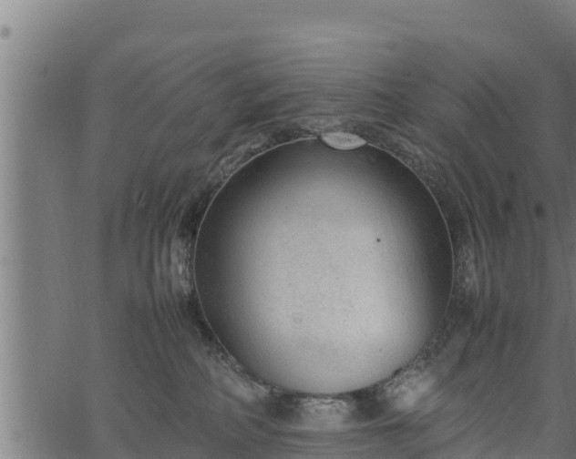 X0000066940234200603311425