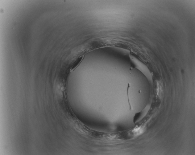 X0000066940235200603311425