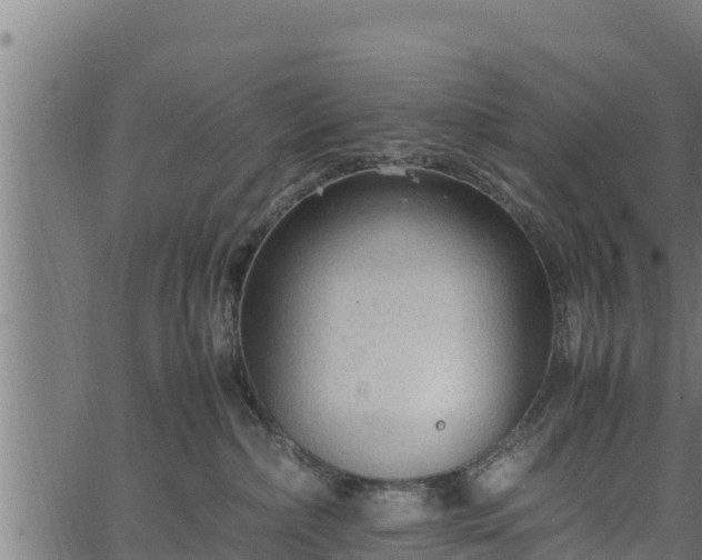 X0000066940236200603311425