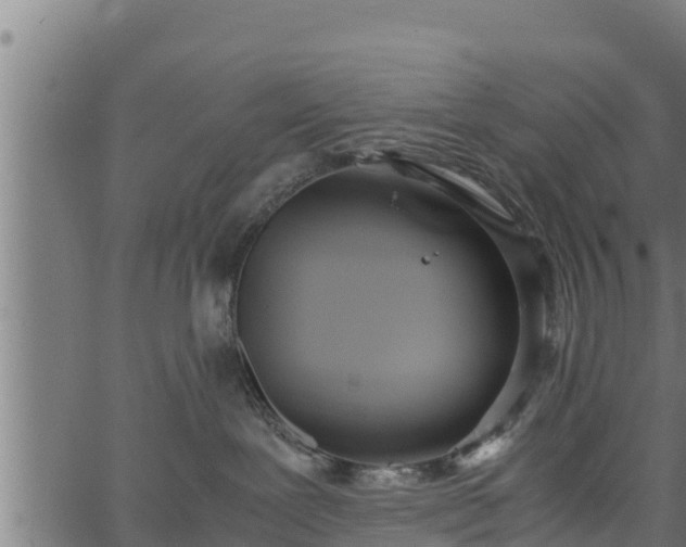 X0000066940239200603311425