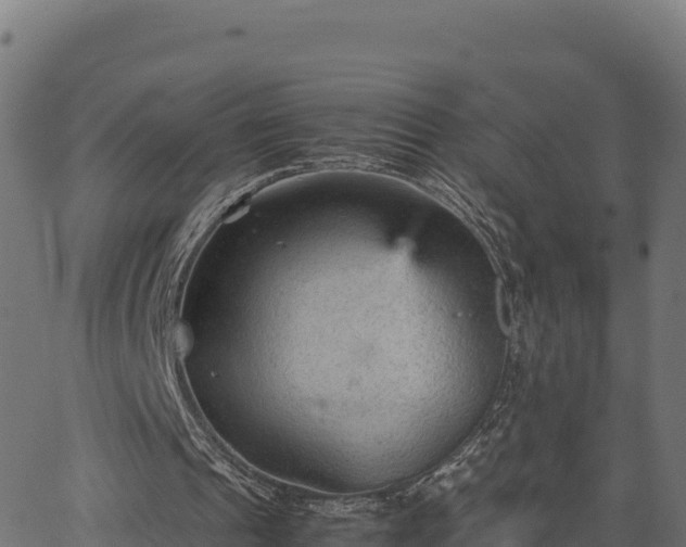 X0000066940241200603311424