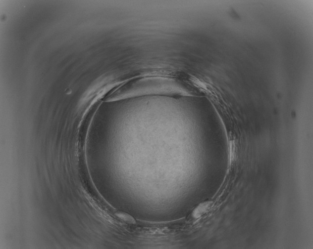 X0000066940243200603311424