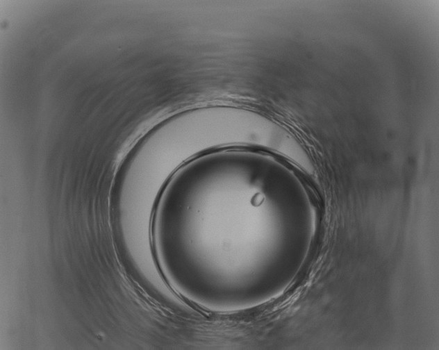 X0000066940244200603311424