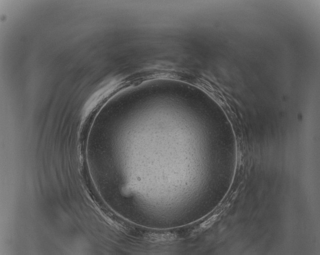 X0000066940245200603311424