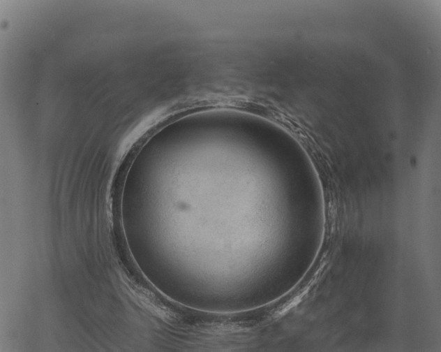 X0000066940246200603311424