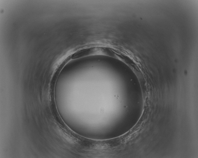 X0000066940248200603311424