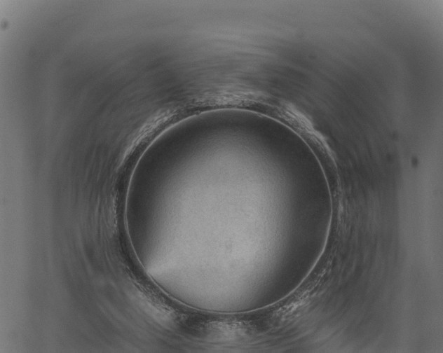 X0000066940250200603311424