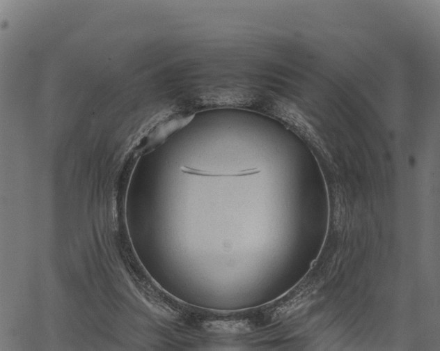 X0000066940251200603311424