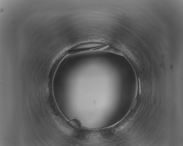 X0000066940252200603311424