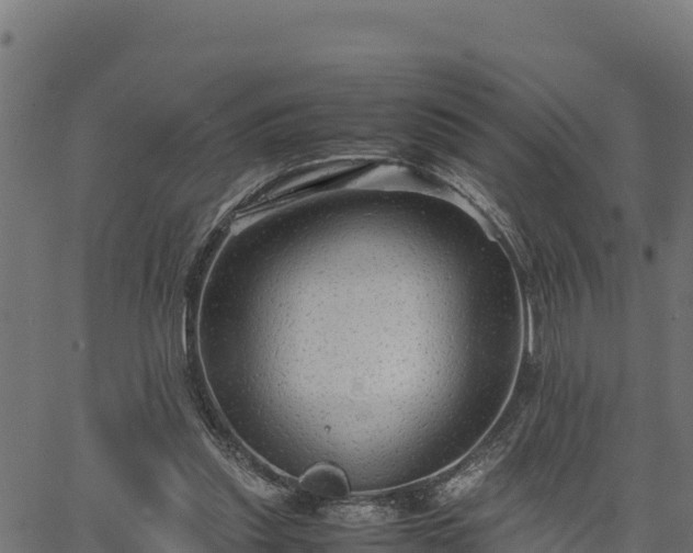 X0000066940253200603311424