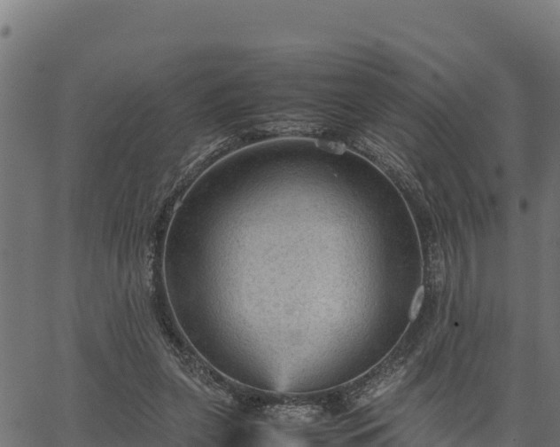 X0000066940255200603311424