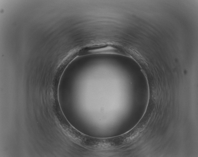 X0000066940256200603311424