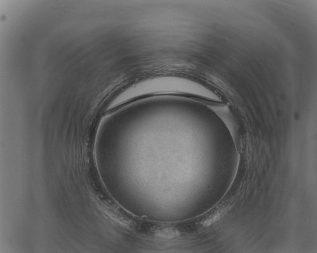 X0000066940258200603311424