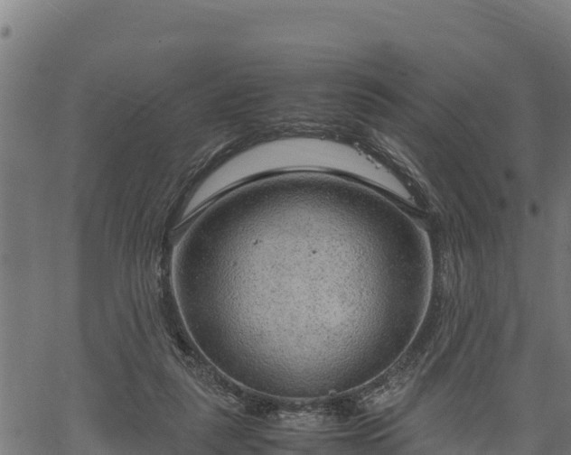 X0000066940259200603311424