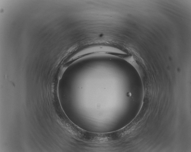 X0000066940260200603311424