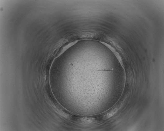 X0000066940261200603311424