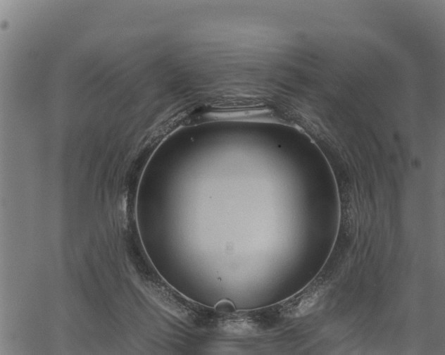 X0000066940262200603311424