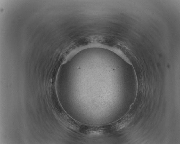 X0000066940263200603311424