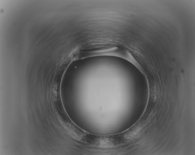 X0000066940264200603311424