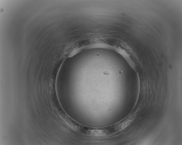 X0000066940265200603311424