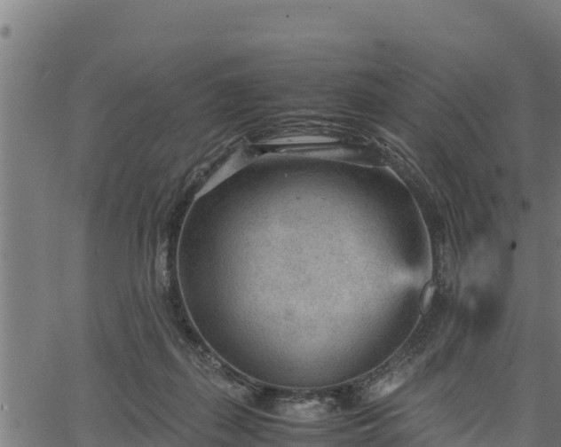 X0000066940267200603311424