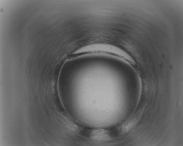 X0000066940269200603311424