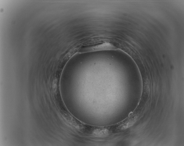 X0000066940271200603311424