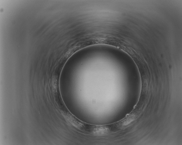 X0000066940274200603311425