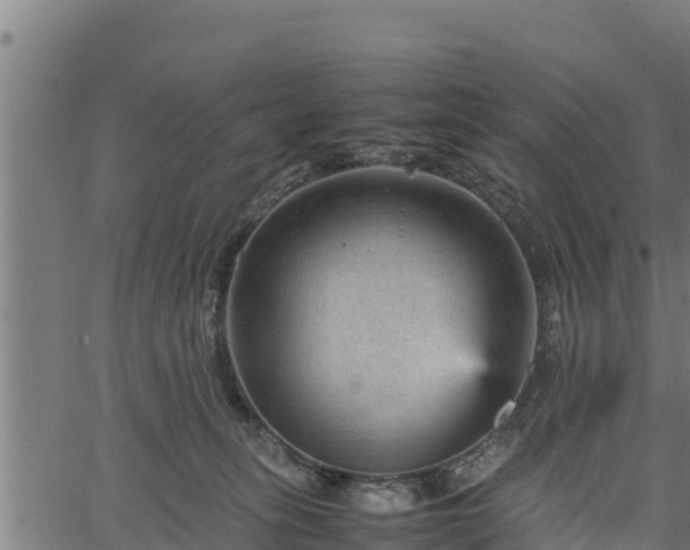 X0000066940275200603311425