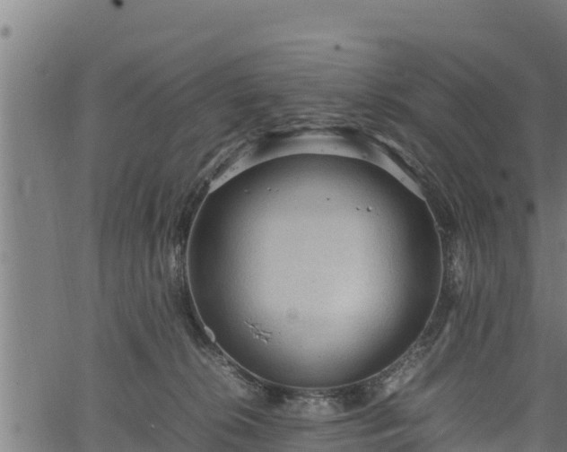 X0000066940276200603311425