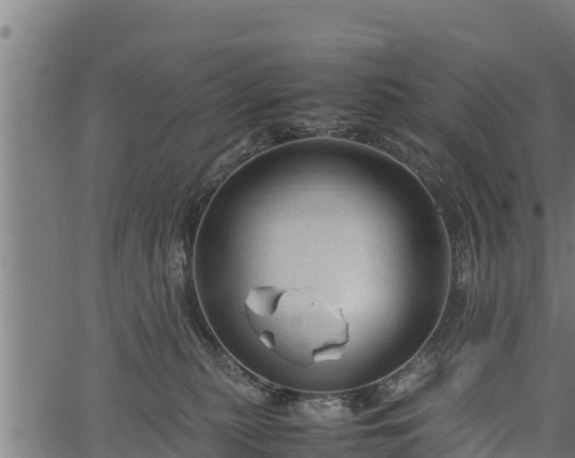 X0000066940279200603311425