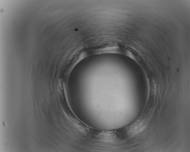 X0000066940280200603311425