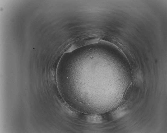 X0000066940281200603311425