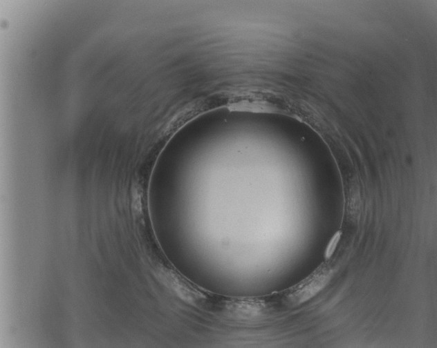 X0000066940282200603311425