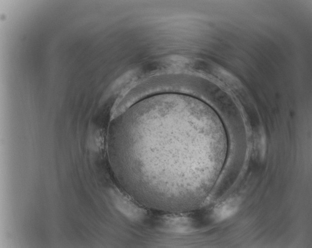 X0000066940284200603311425