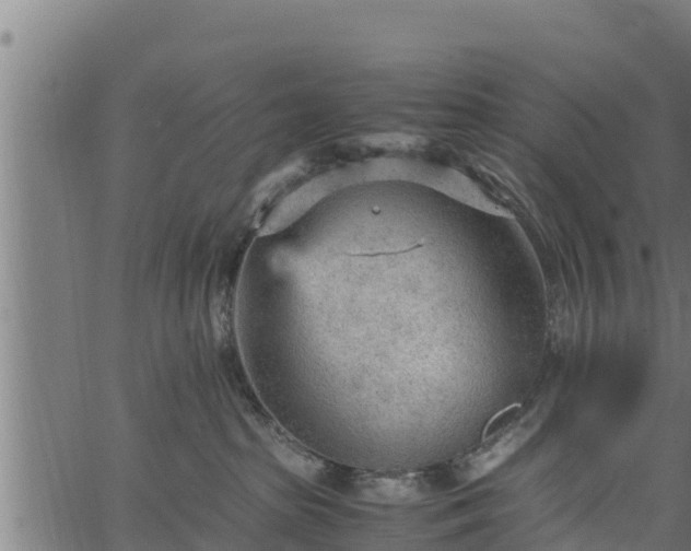 X0000066940285200603311425