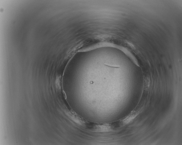 X0000066940286200603311425