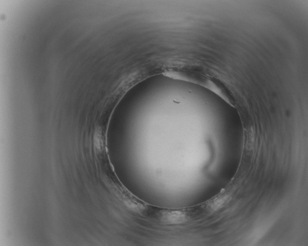 X0000066940287200603311425