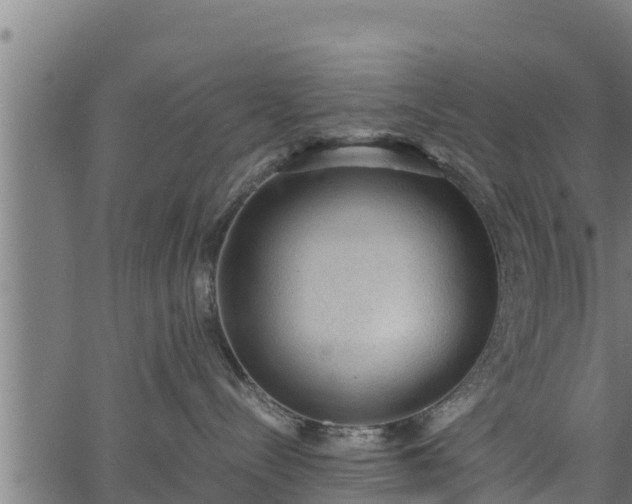 X0000066940288200603311425