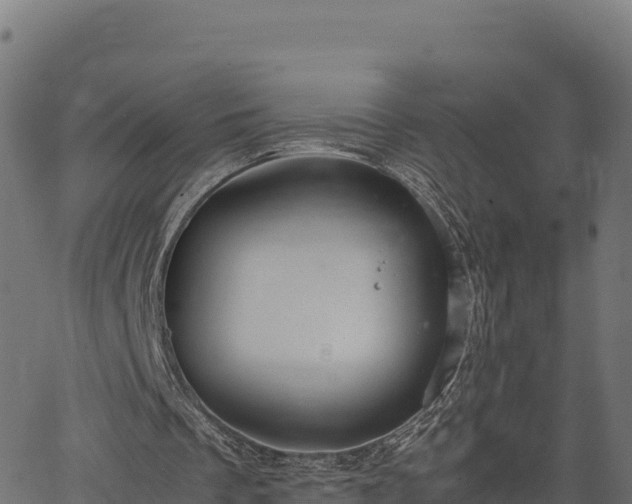 X0000066940289200603311424