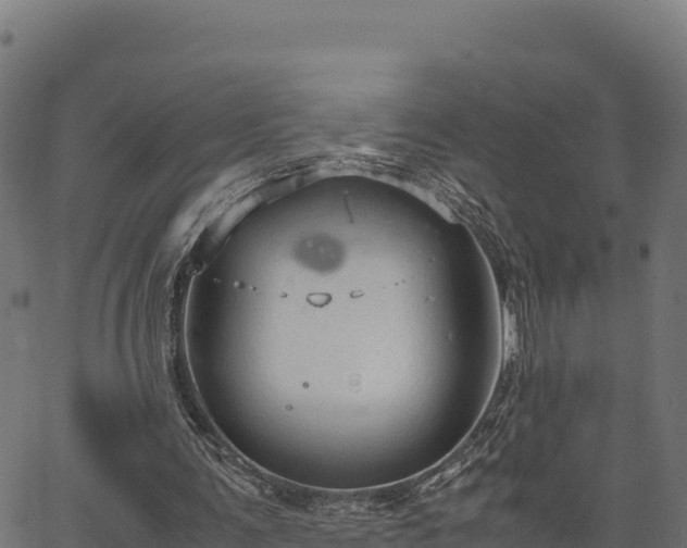 X0000066940291200603311424