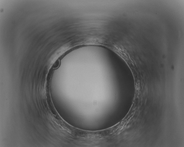 X0000066940292200603311424