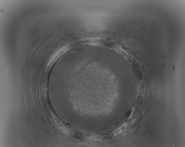 X0000066940293200603311424