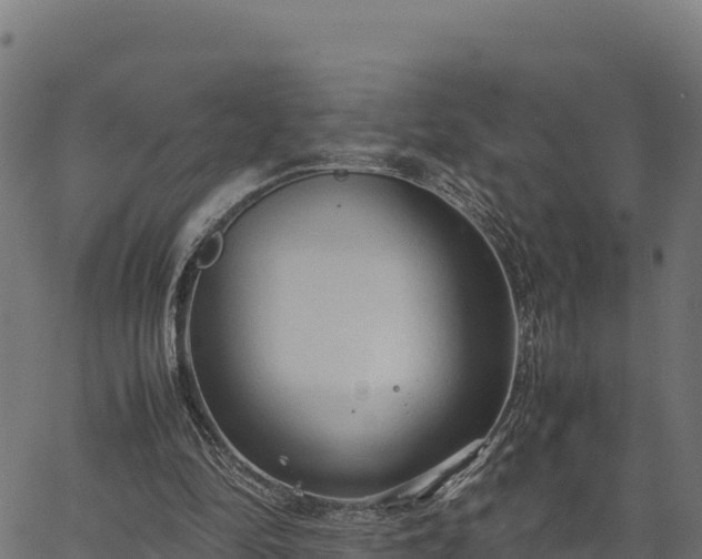 X0000066940294200603311424