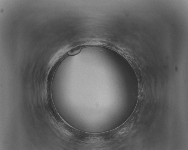 X0000066940296200603311424