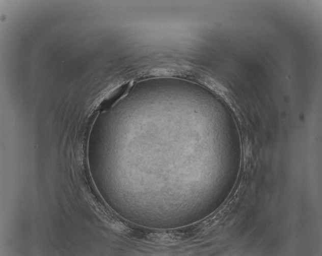 X0000066940297200603311424