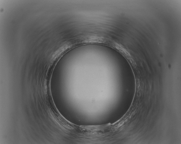 X0000066940298200603311424